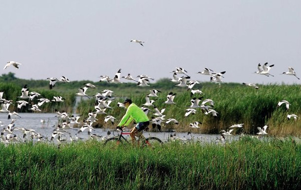 Escursioni in bicicletta: Dormire nel Delta del Po